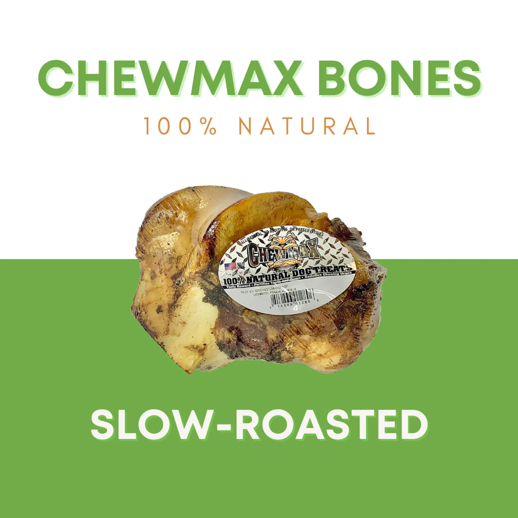 Femur Knuckle Beef Bone